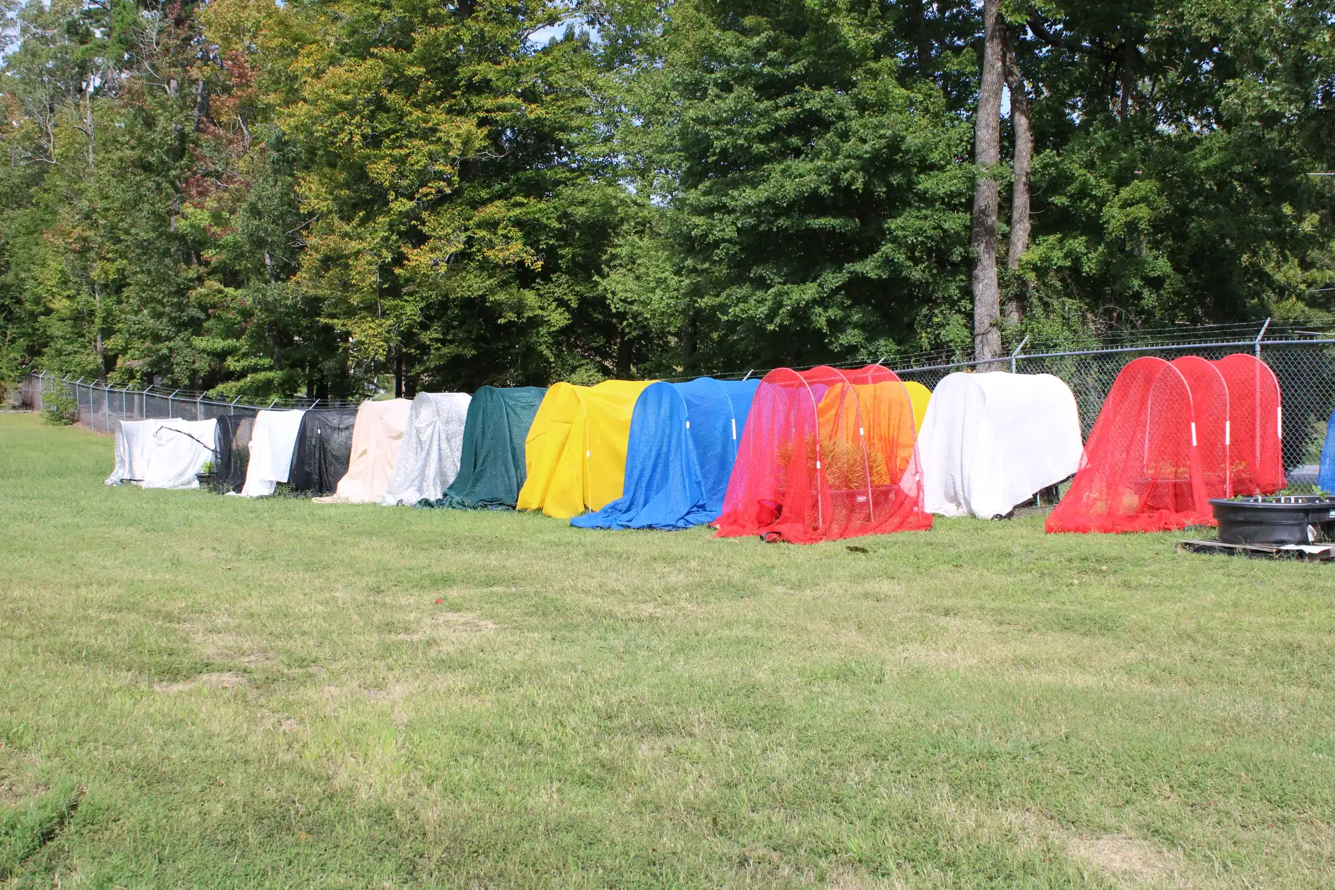 Colorful insect netting covers on a grassy field with trees in the background.